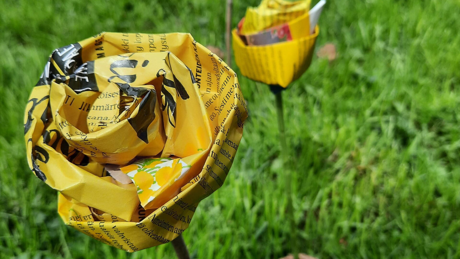 Aalto-projekti-ilon-ja-valon-niitty Aaltoprojekti: Ilon ja Valon Niitty