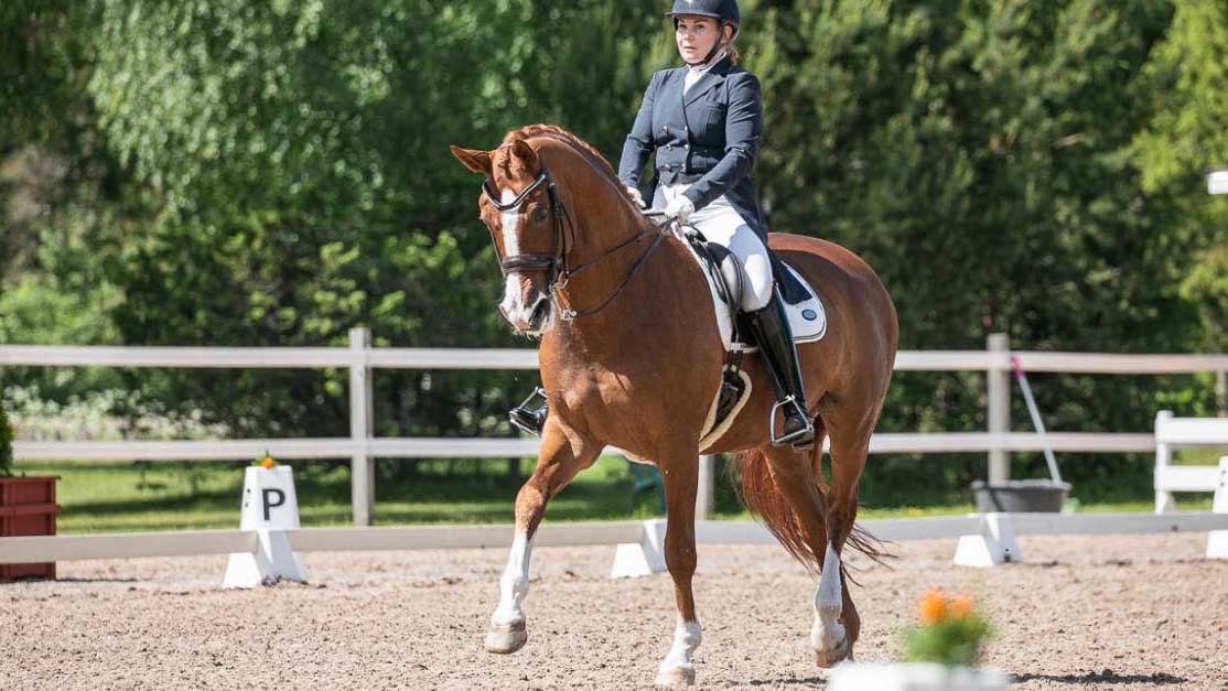 Kouluratsastuskilpailut-Tahko