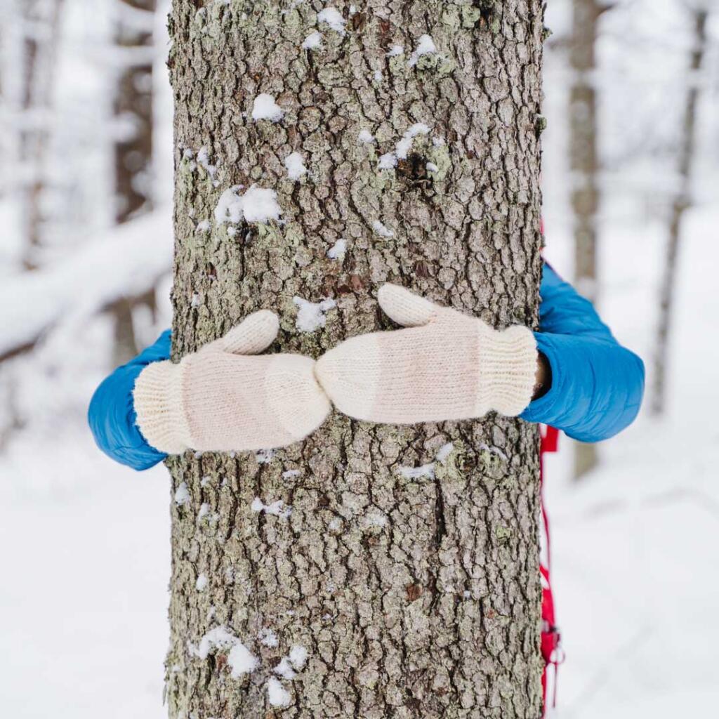 Talviretkeily Kuopiossa, Tahkolla ja Pohjois-Savossa