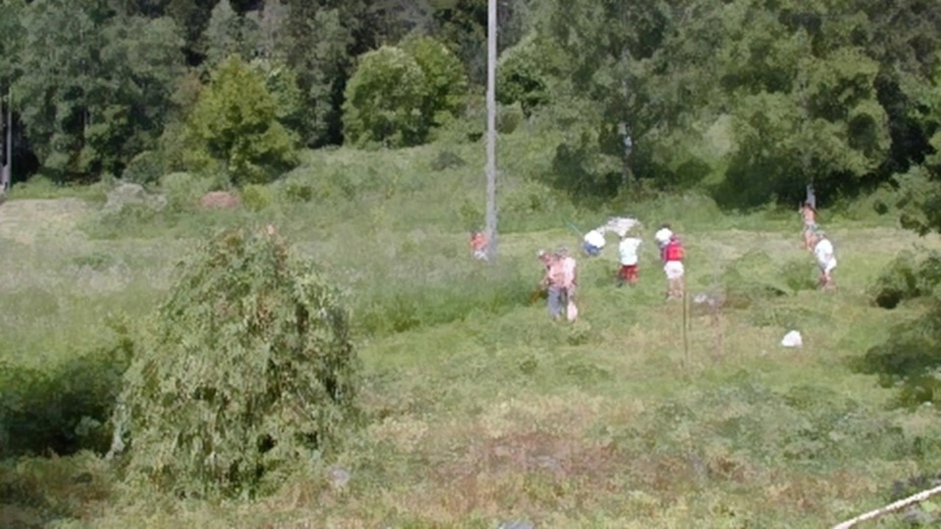 Heinätalkoot käsitelty 3