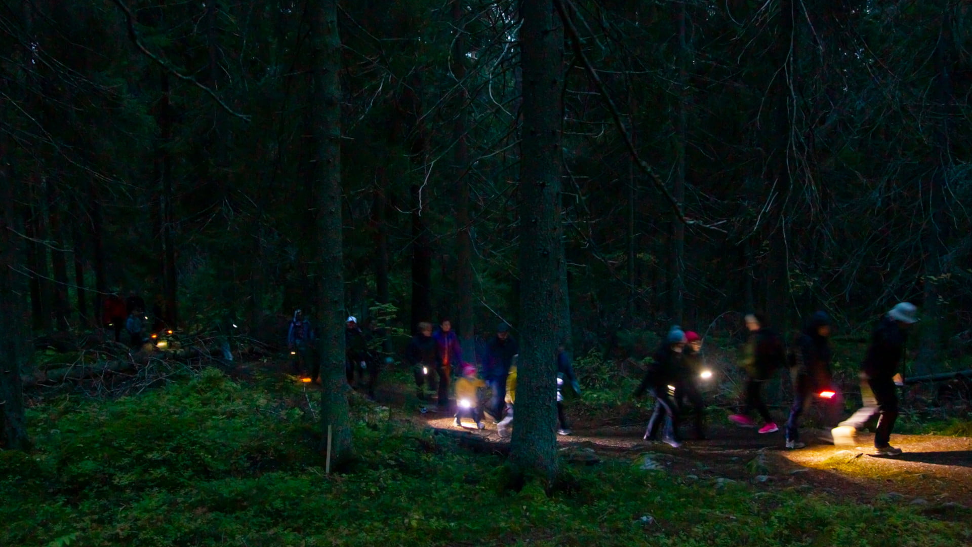 Lyhtykävely2019-VicenteSerra15.käsitelty