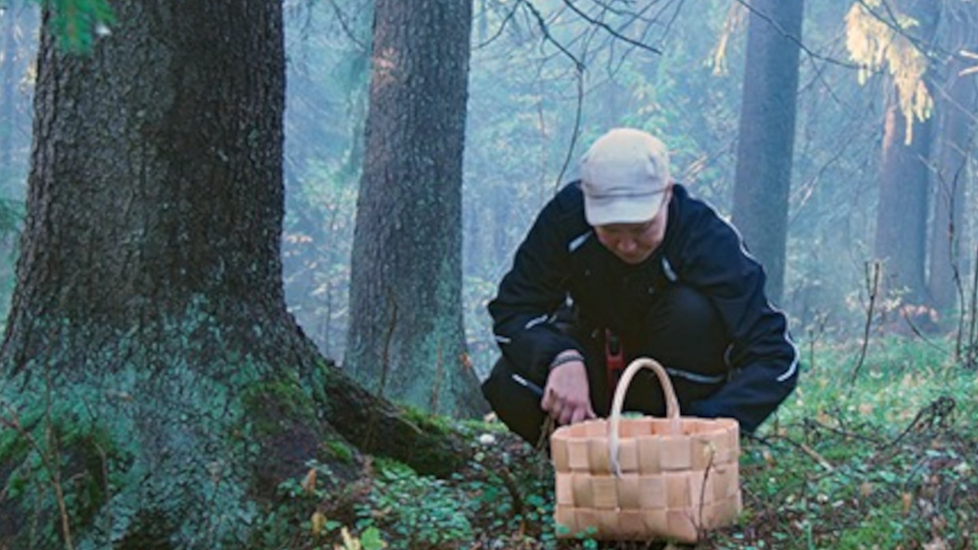 Sieniretki.käsitelty