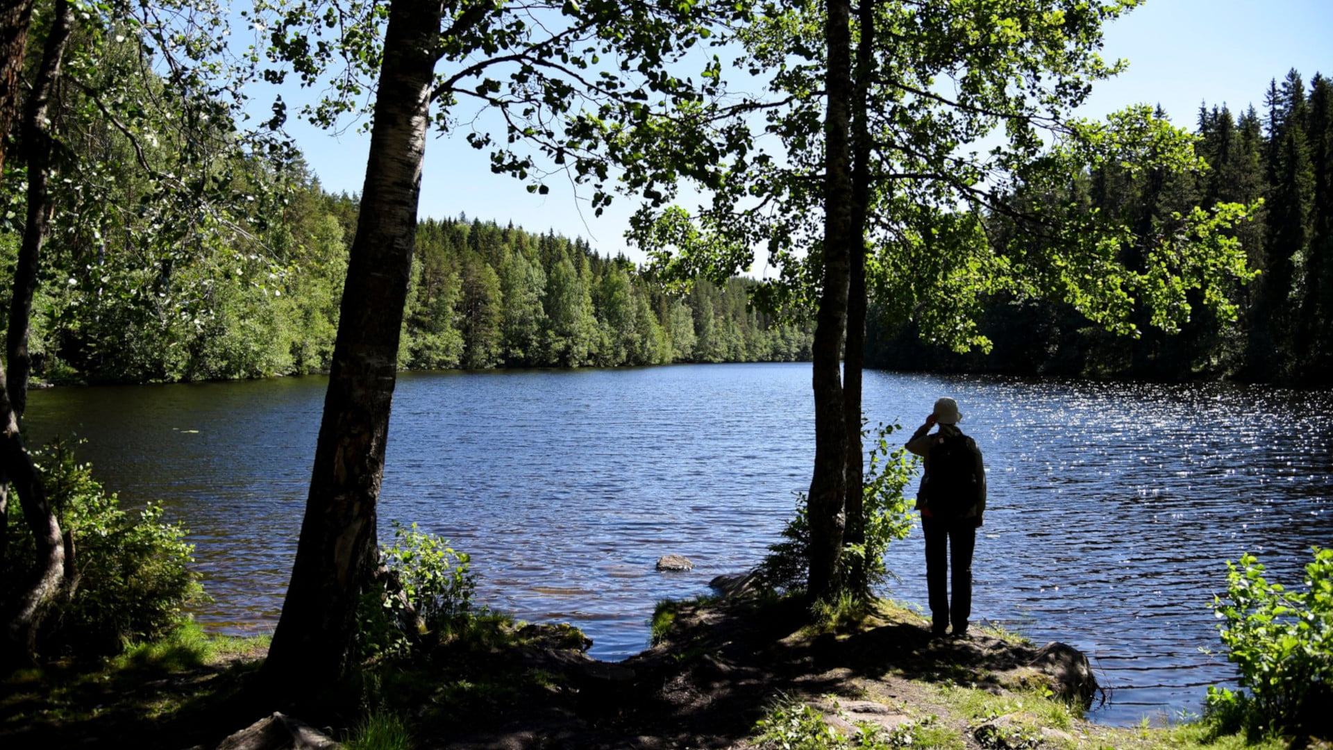 Vuorilampi.käsitelty Hyvinvointia luonnosta