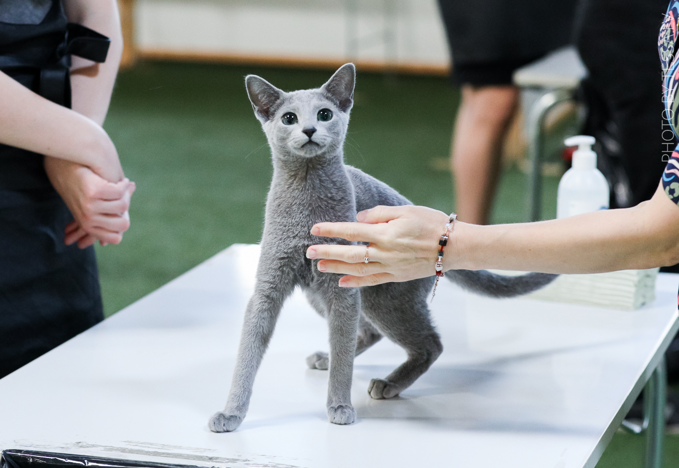 523___isrok_20_05_01-162