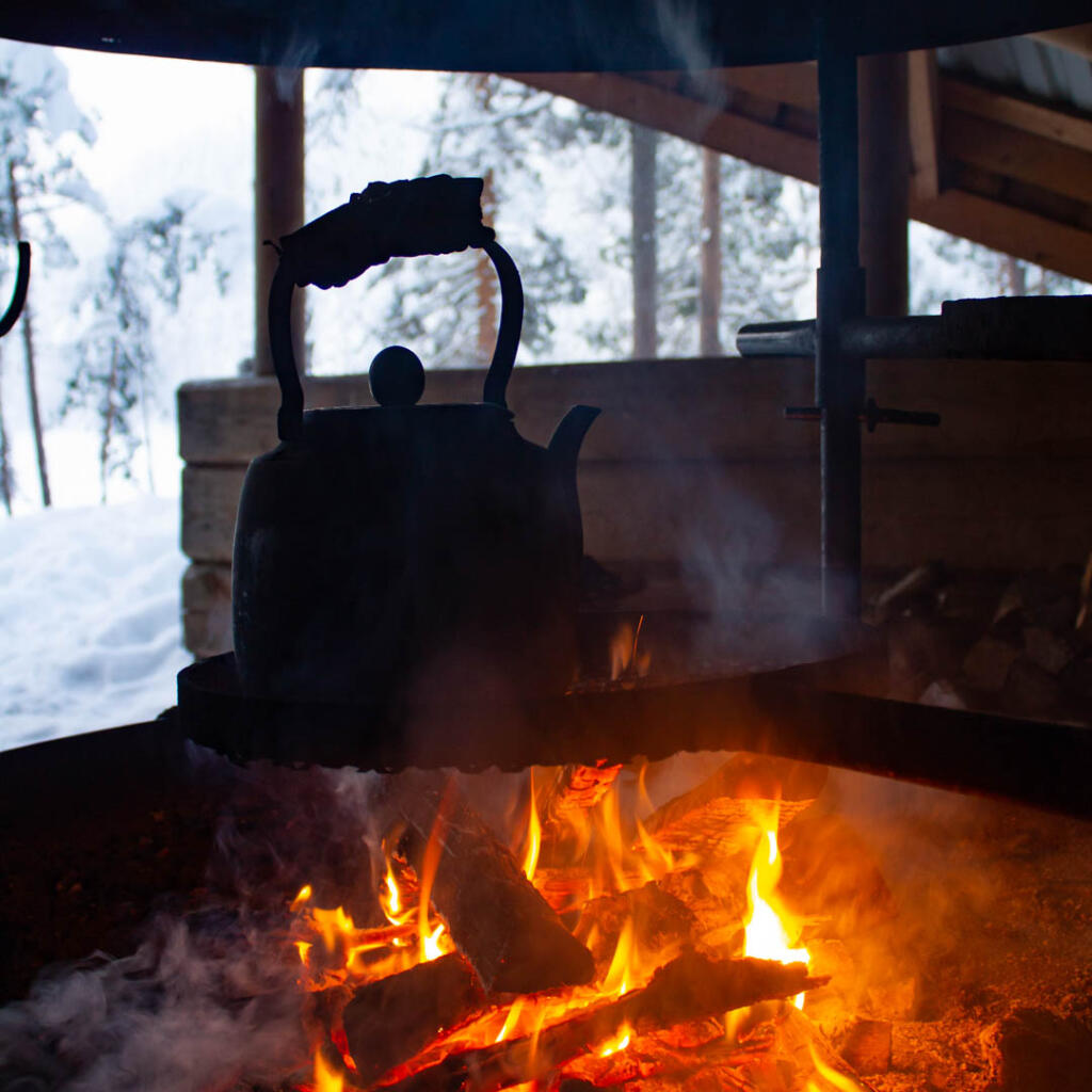 Etelä-Konneveden kansallispuisto, Vuori-Kalajan laavu