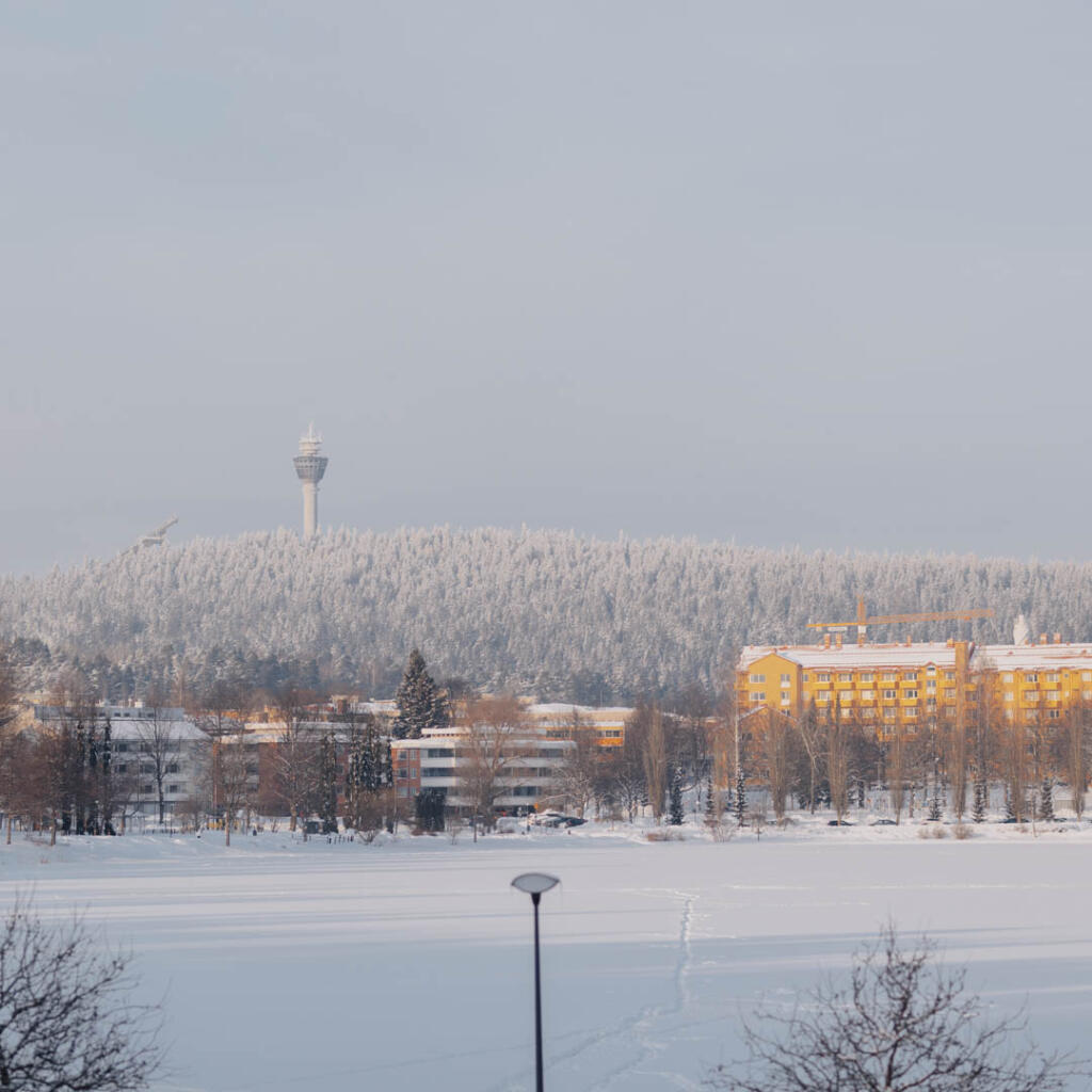 Valkeisenpuisto talvi