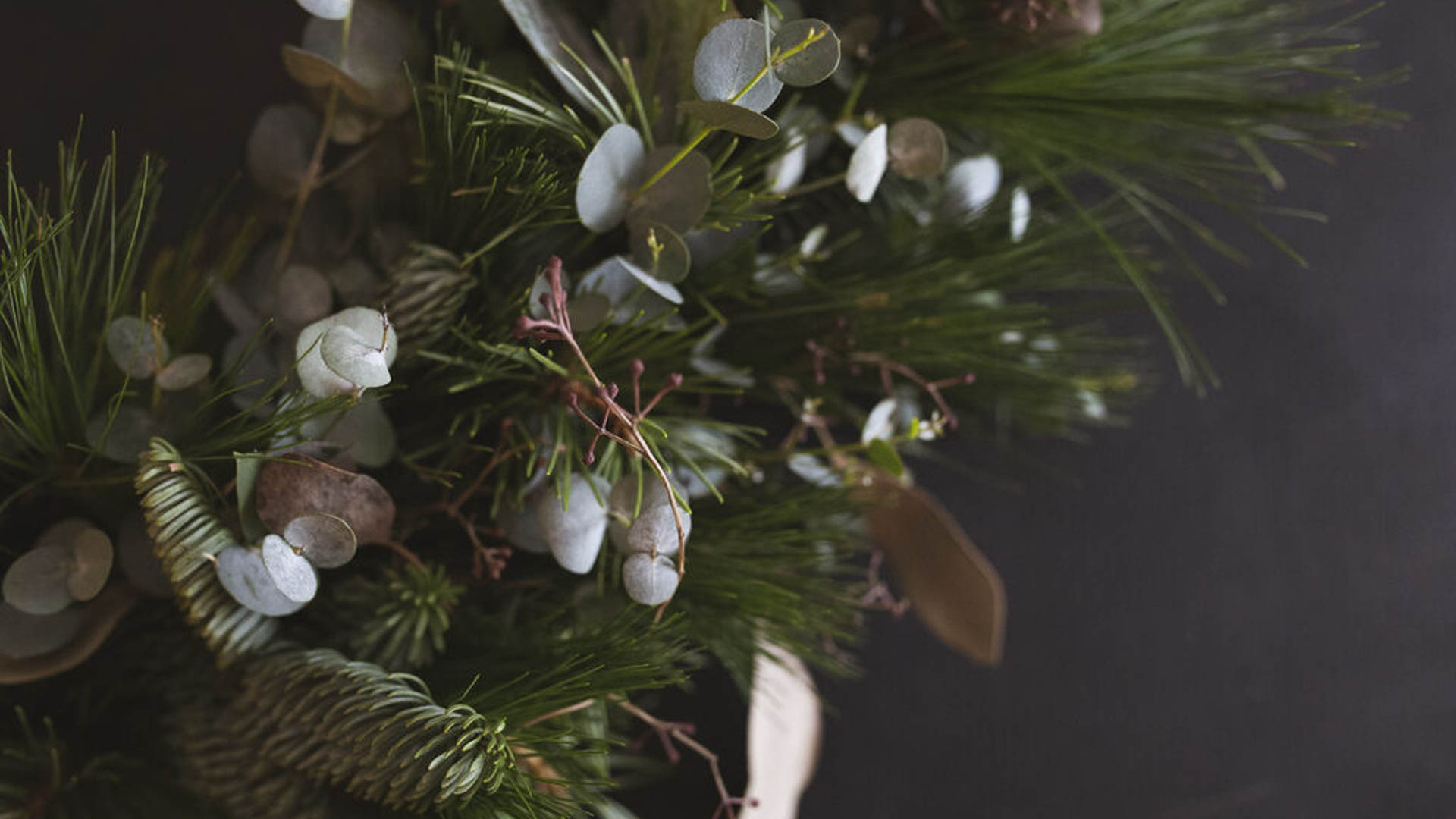 Kahvila-Kantti-pajat Puutarhurin pajat