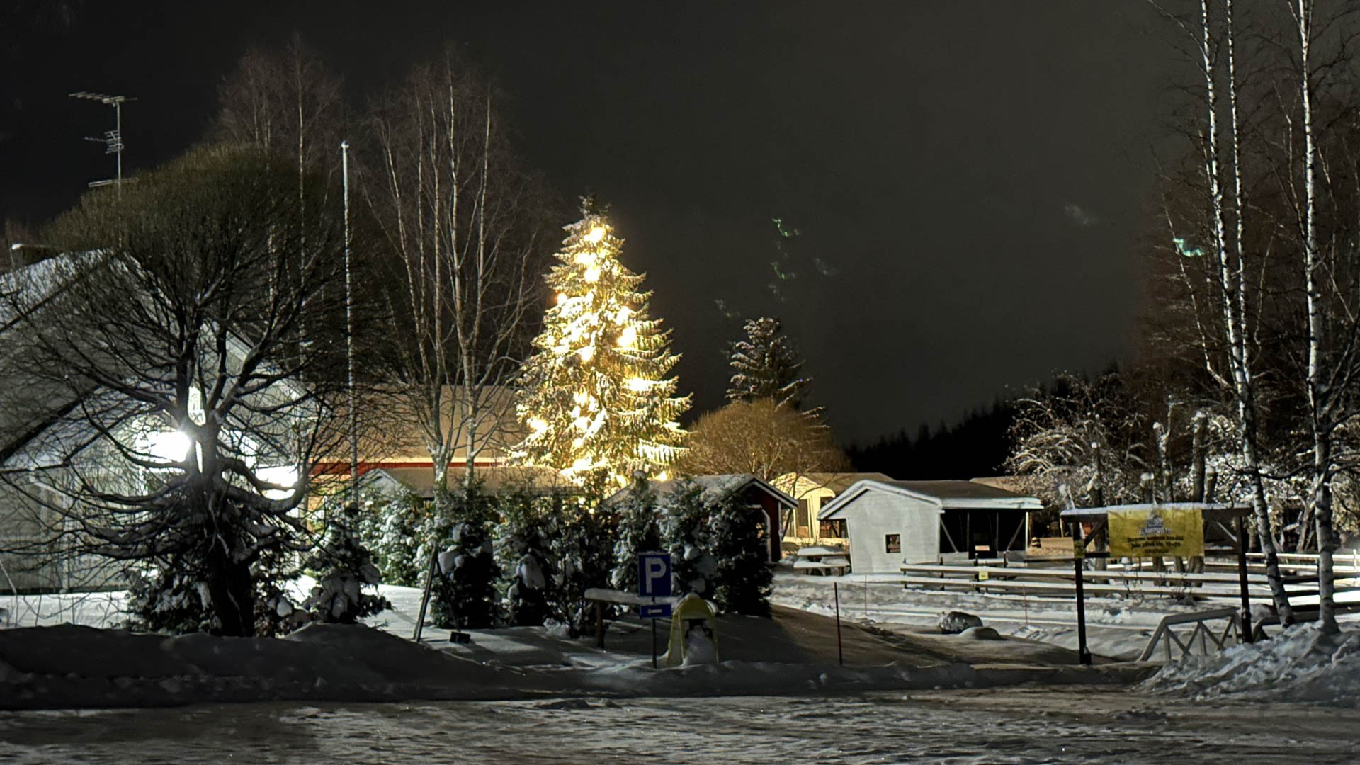 Elainpuisto-kuusi Kuopion eläinpuisto joulu