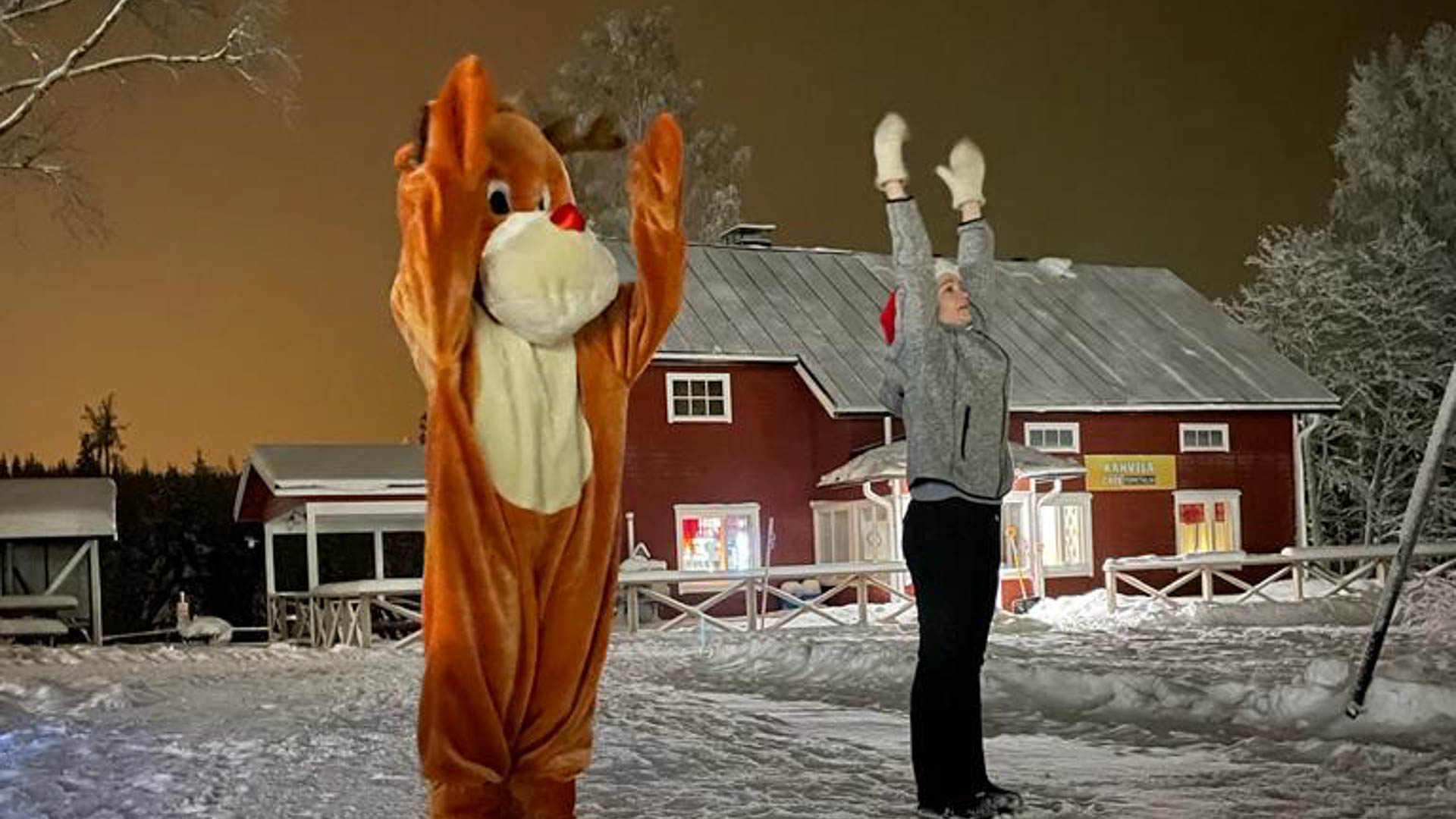 Elainpuisto-talvi-jumppa