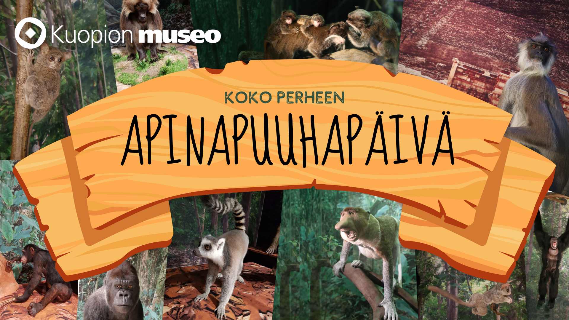 Apinapuuhapaiva-1920×1080