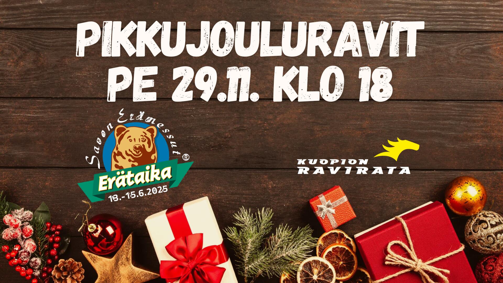 Lisää otsikko (13)