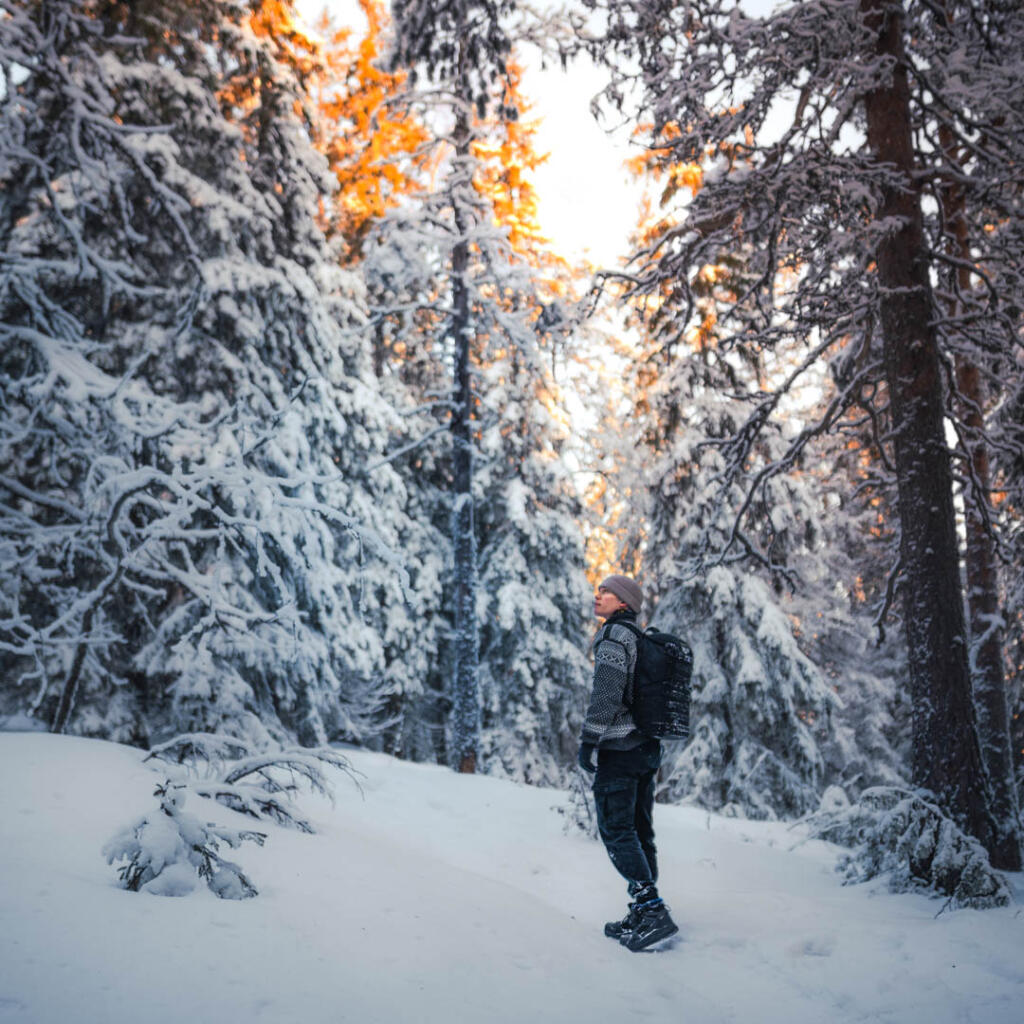 Talviretkeilijä lumisessa metsässä auringonnousun aikaan.
