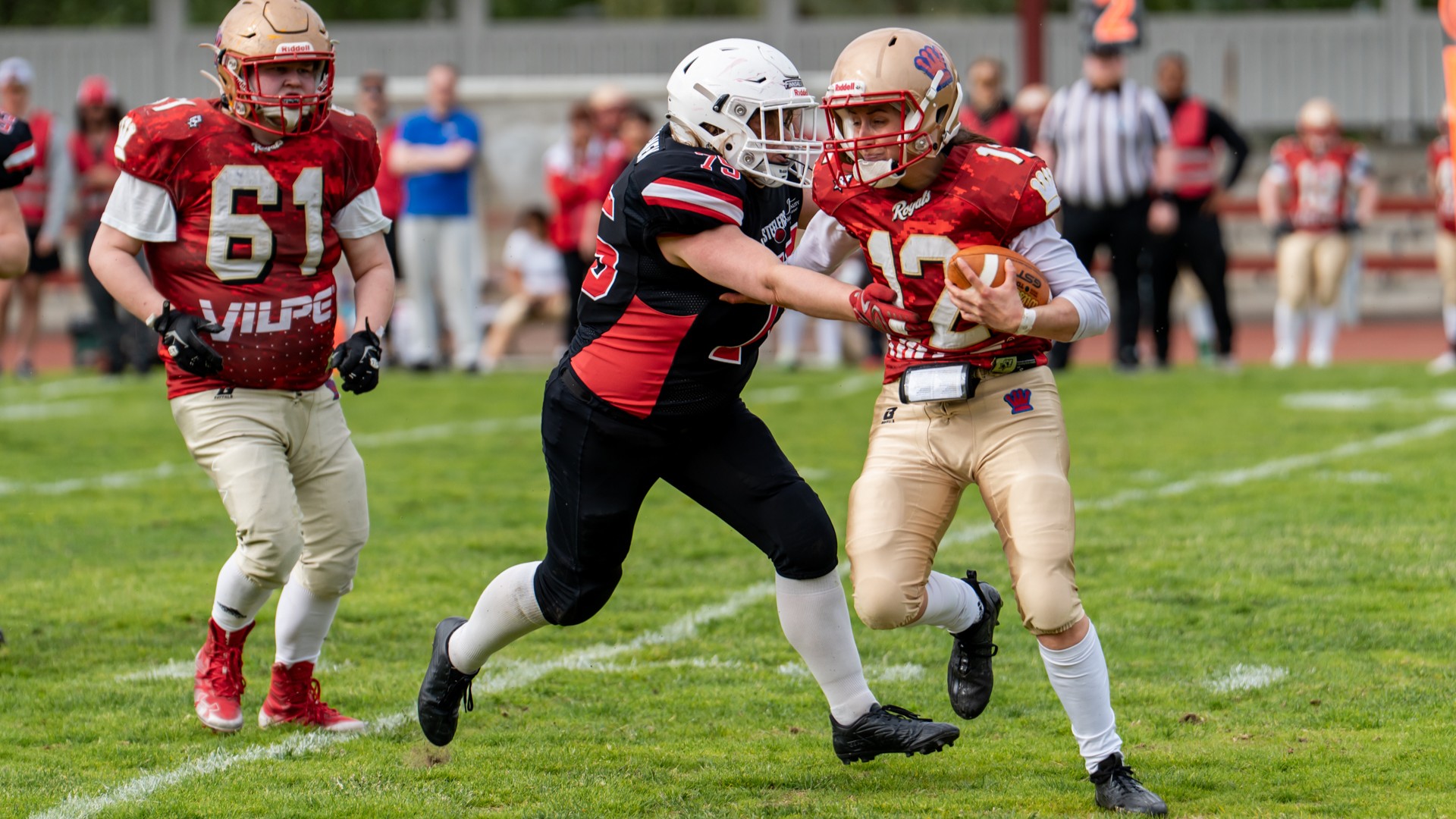 Ste_Roy-226 Steelers naiset