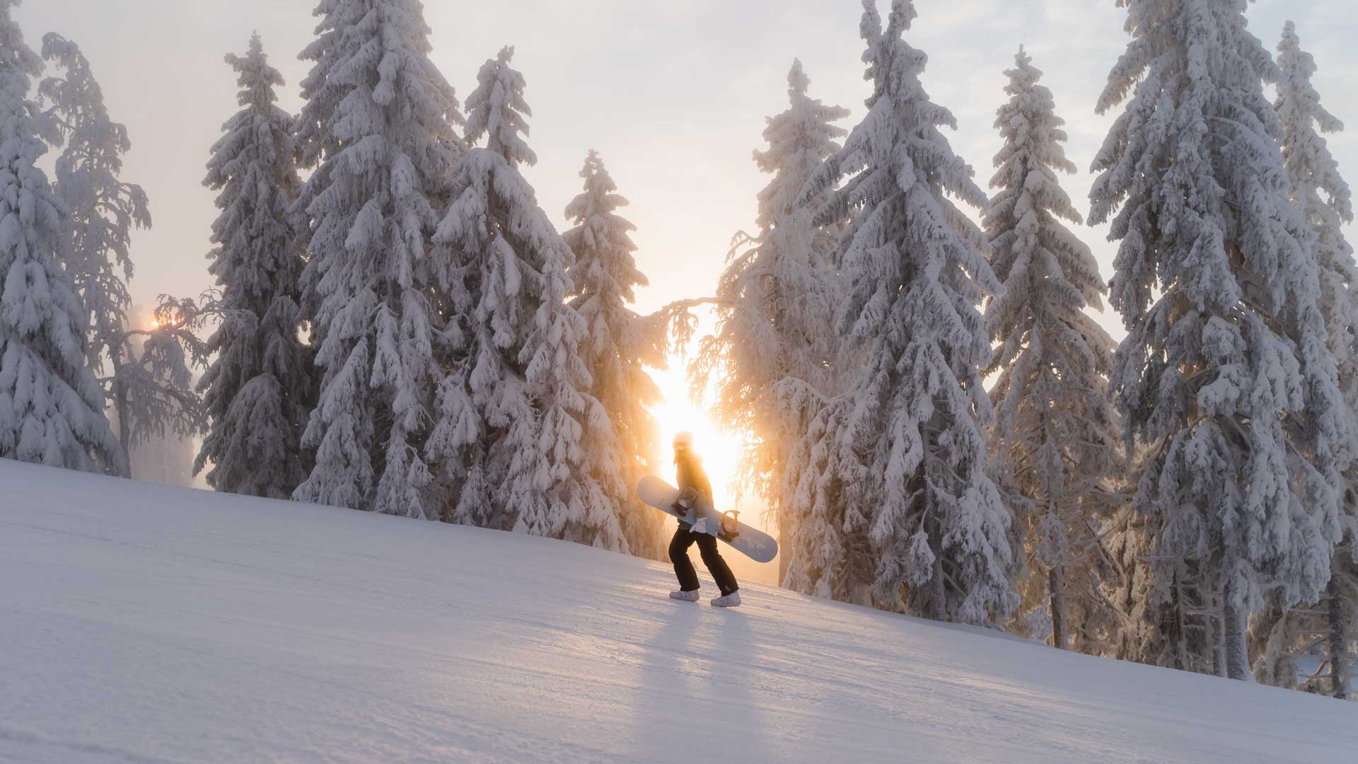 Aktiviteetit Kuopiossa, Tahkolla ja koko Pohjois-Savossa. Nainen lumilaudan kanssa rinteessä, taustalla tykkylumisia puita.