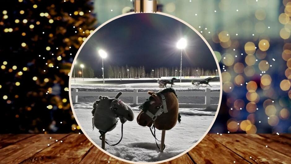 Joulumyyjäiset & ravit