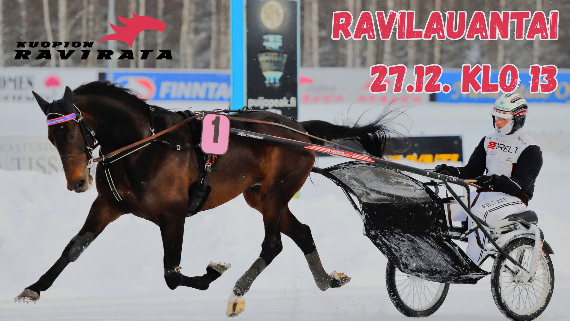 Lisää otsikko (13)