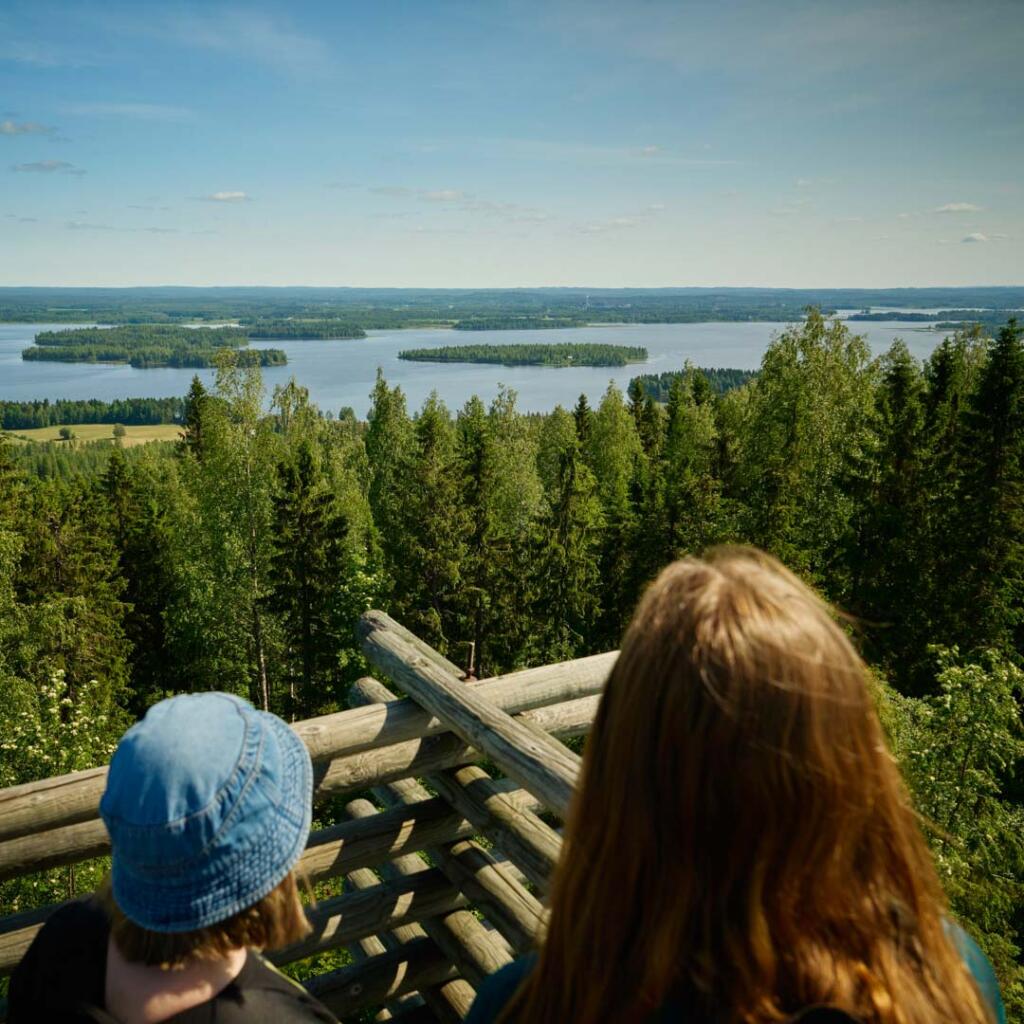 Visit Lapinlahti, Väisälänmäki