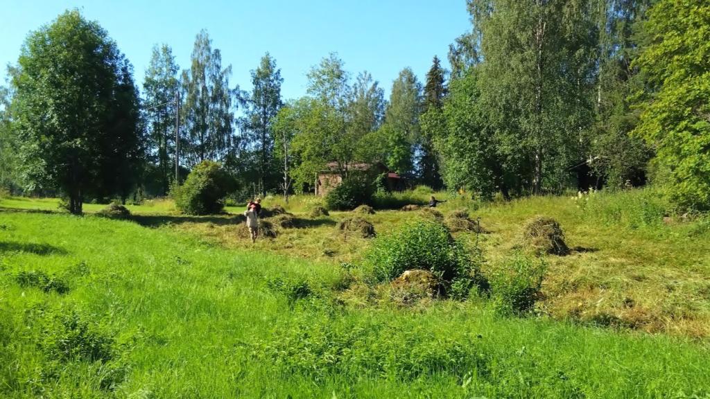 pilpan-luonnonhoitotalkoot-image_1-jpg